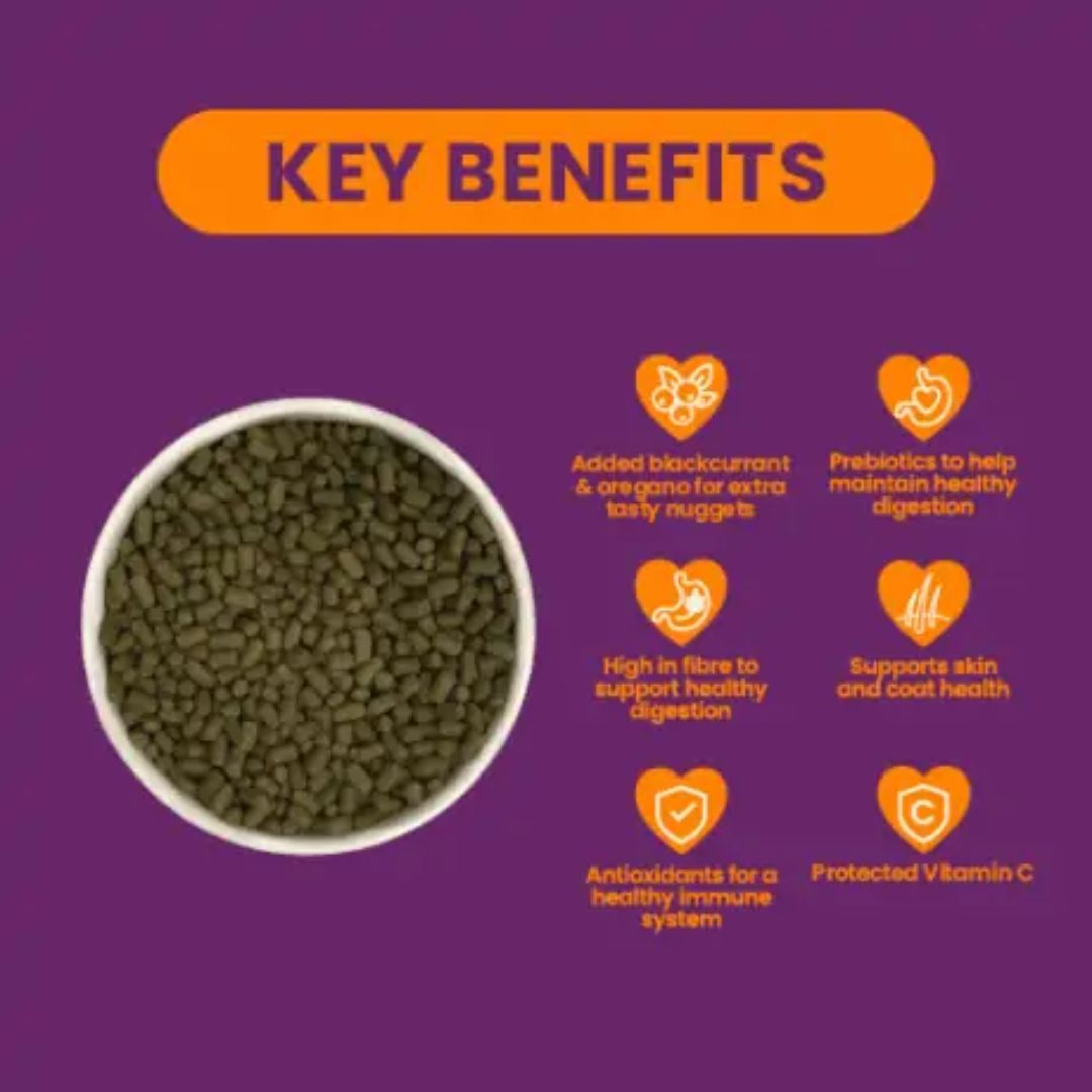 Burgess Excel Guinea Pig Nuggets with Blackcurrant & Oregano | PeekAPaw Pet Supplies