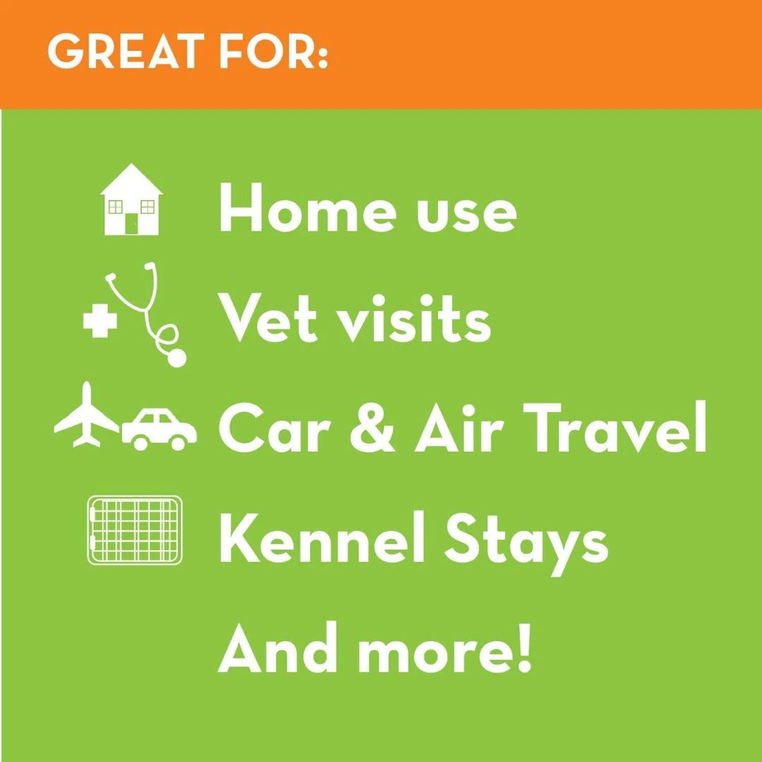 ThunderEssence Calming Essential Oil for Dogs | PeekAPaw Pet Supplies