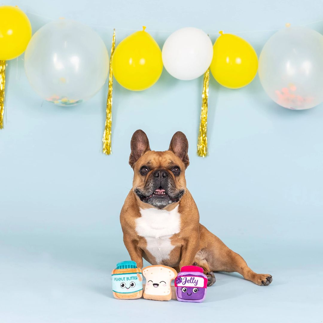 Fringe Studio Plush Squeaker Dog Toy - Sticky Situation 3 Mini Toys - Default Title | PeekAPaw Pet Supplies