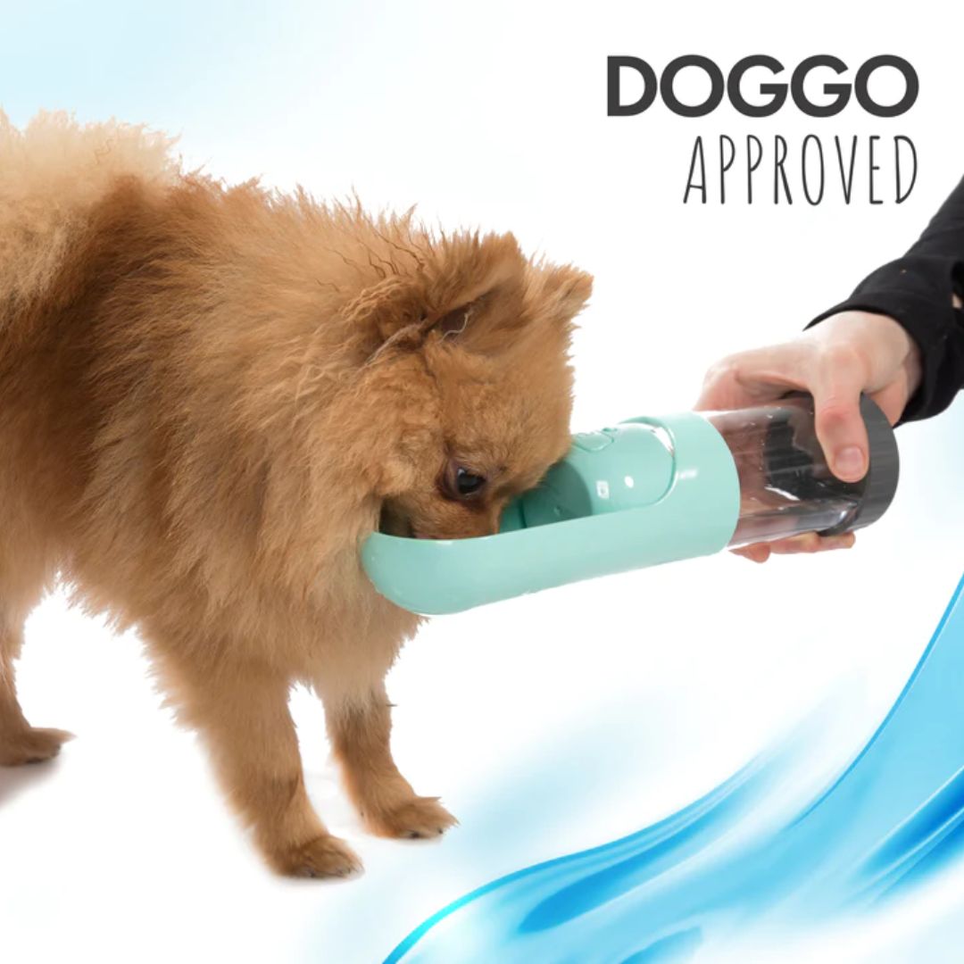 All Fur You Portable Dog Water Bottle 300ml - Green | PeekAPaw Pet Supplies