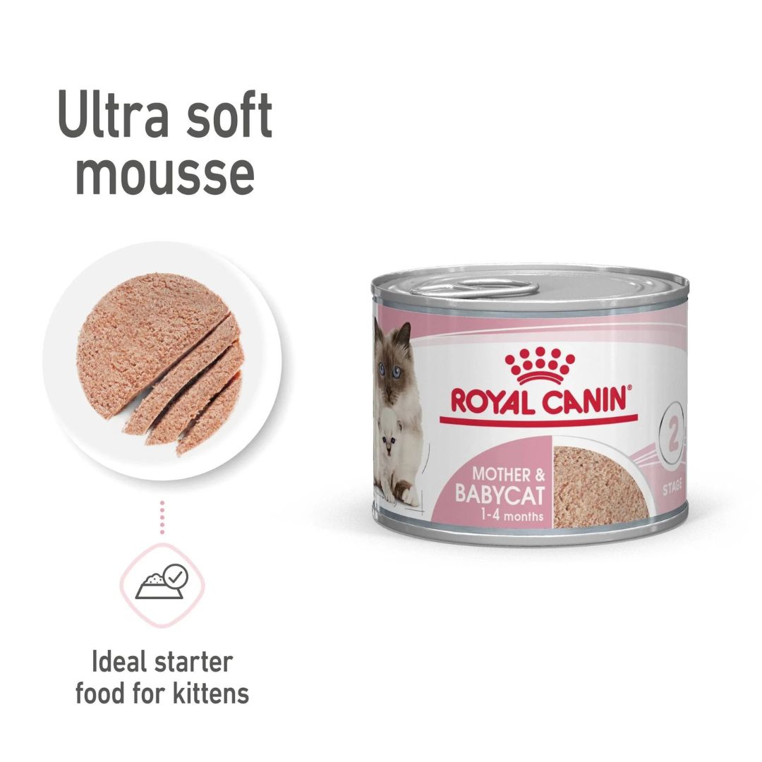 Royal Canin Mother and BabyCat Mousse | PeekAPaw Pet Supplies