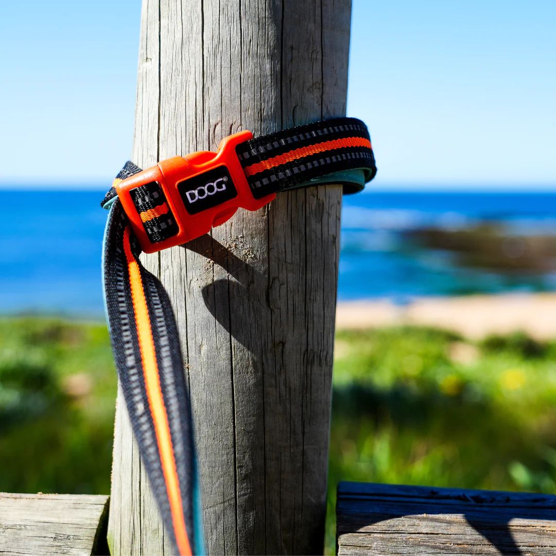 Doog Clip It Neoprene Dog Leash - (Neon High Vis) Beethoven | PeekAPaw Pet Supplies