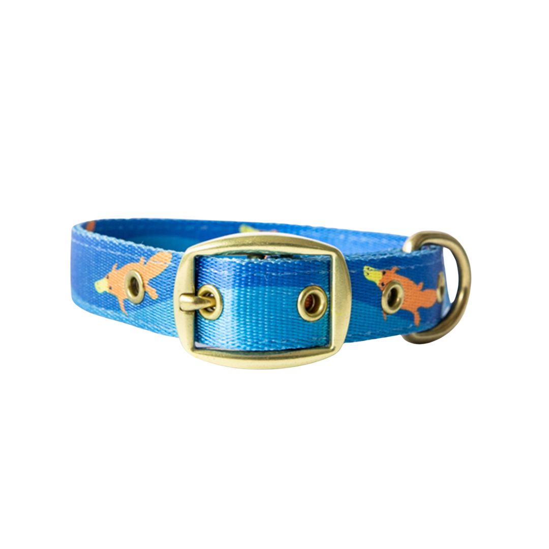 Anipal Piper The Platypus Recycled Dog Collar - Medium | PeekAPaw Pet Supplies