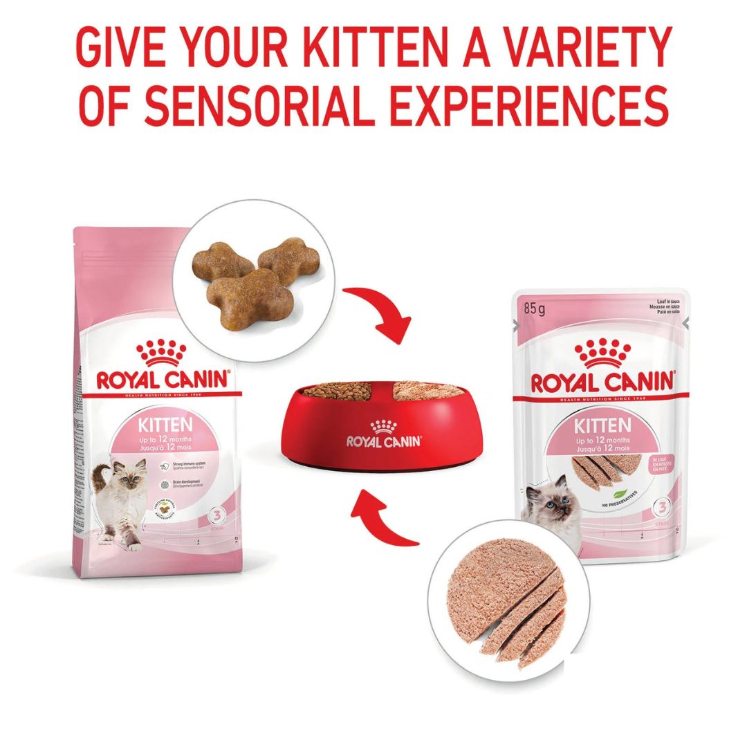 Royal Canin Wet Cat Food Kitten Loaf | PeekAPaw Pet Supplies