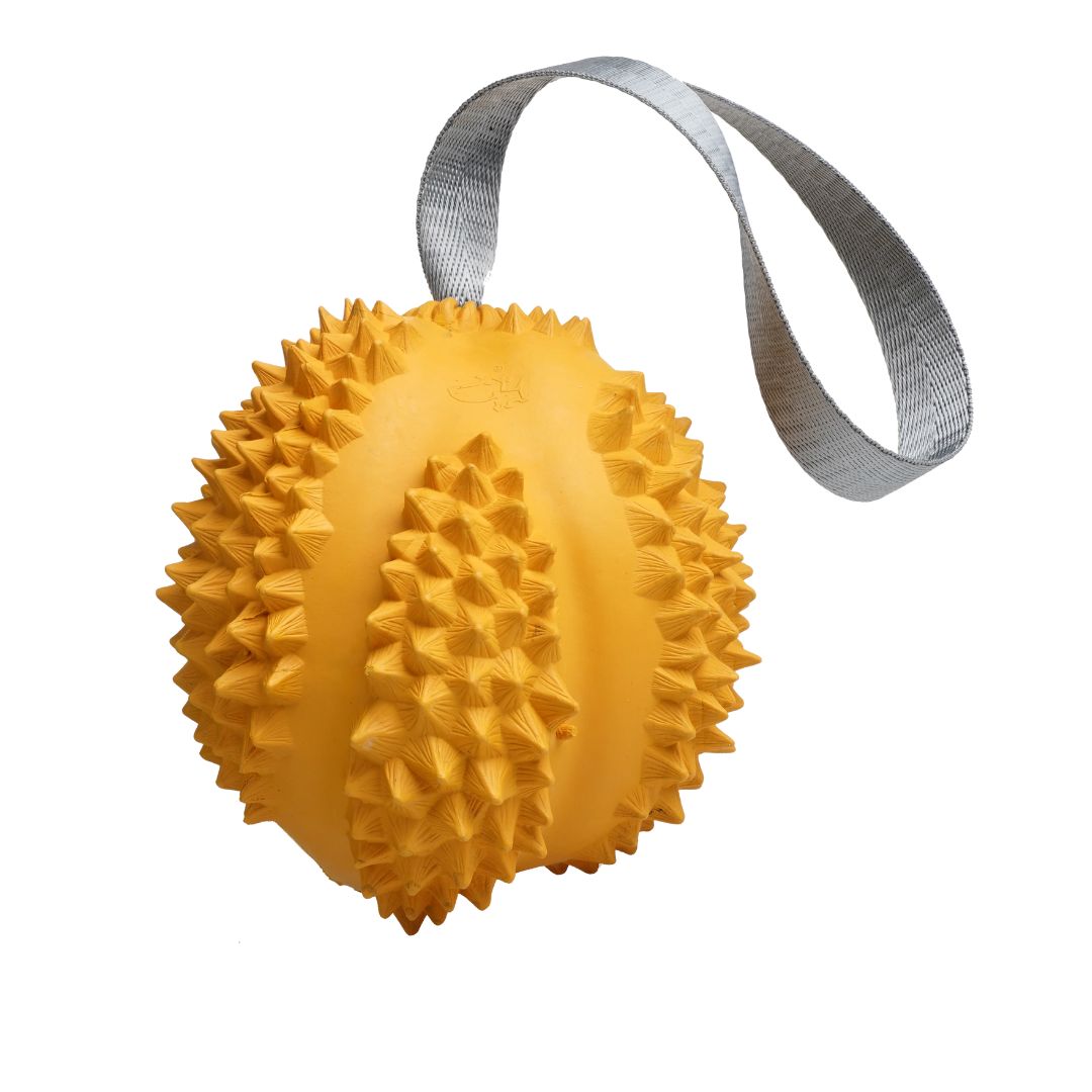 Petopia Ultra Tough Dog Toy Durable Durian - M | PeekAPaw Pet Supplies