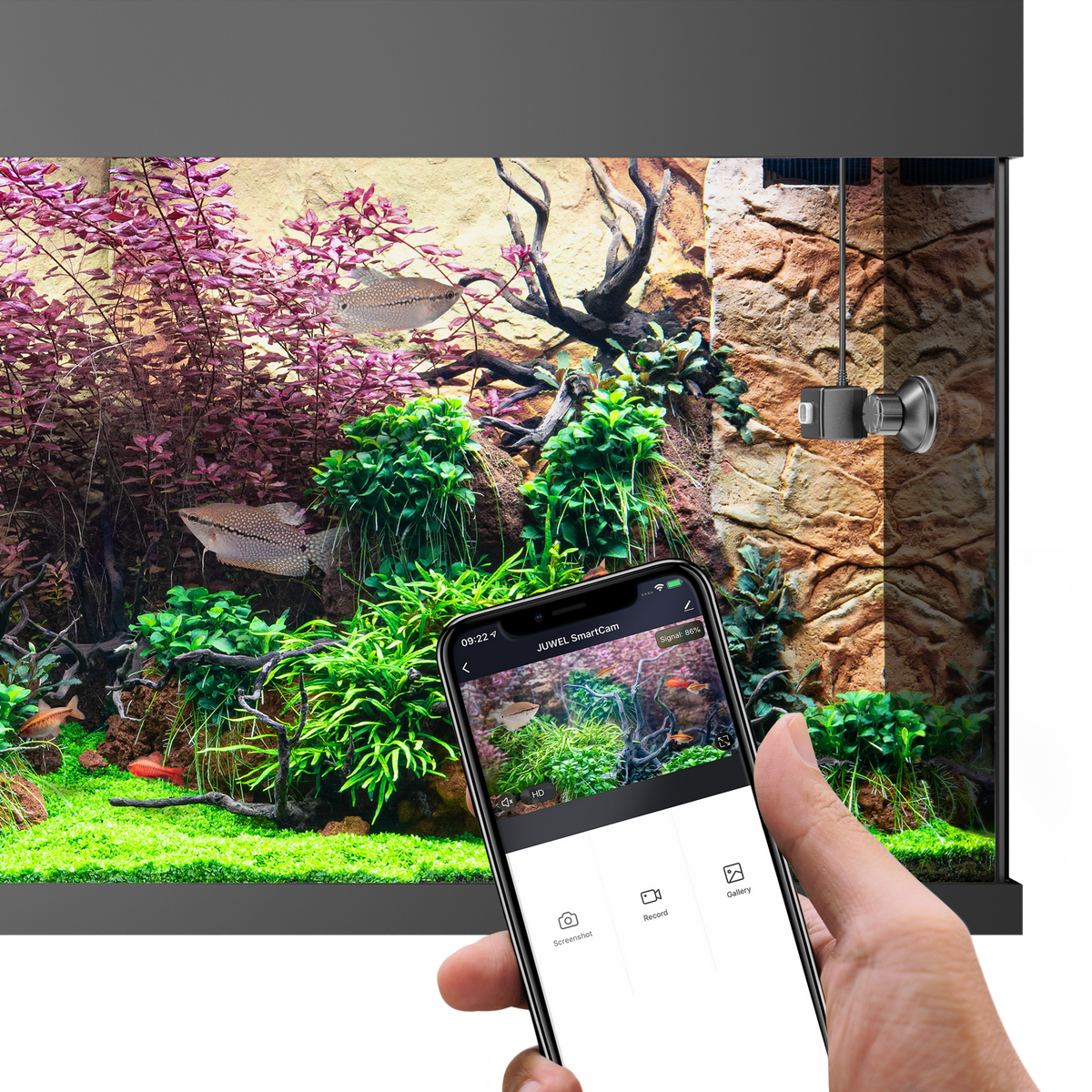 Juwel SmartCam app view