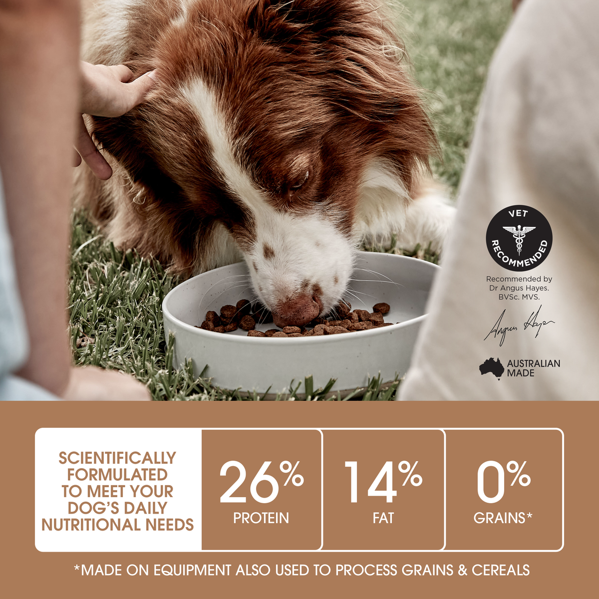 Spaniel eating Ivory Coat Grain Free Lamb, with 26 per cent protein and 14 per cent fat noted