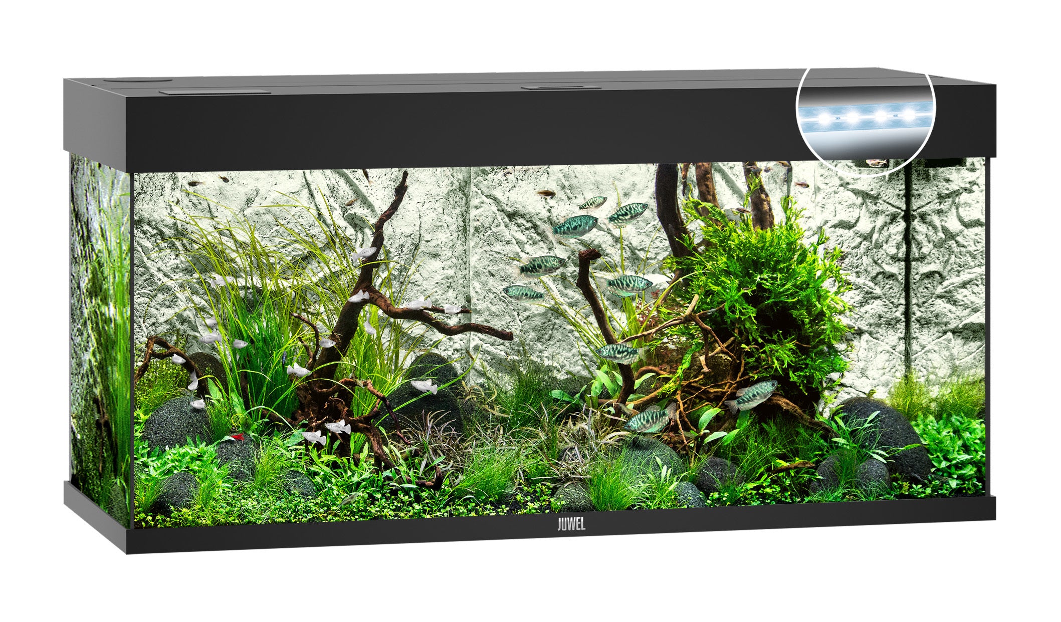 Juwel RIO LED Aquarium 180L