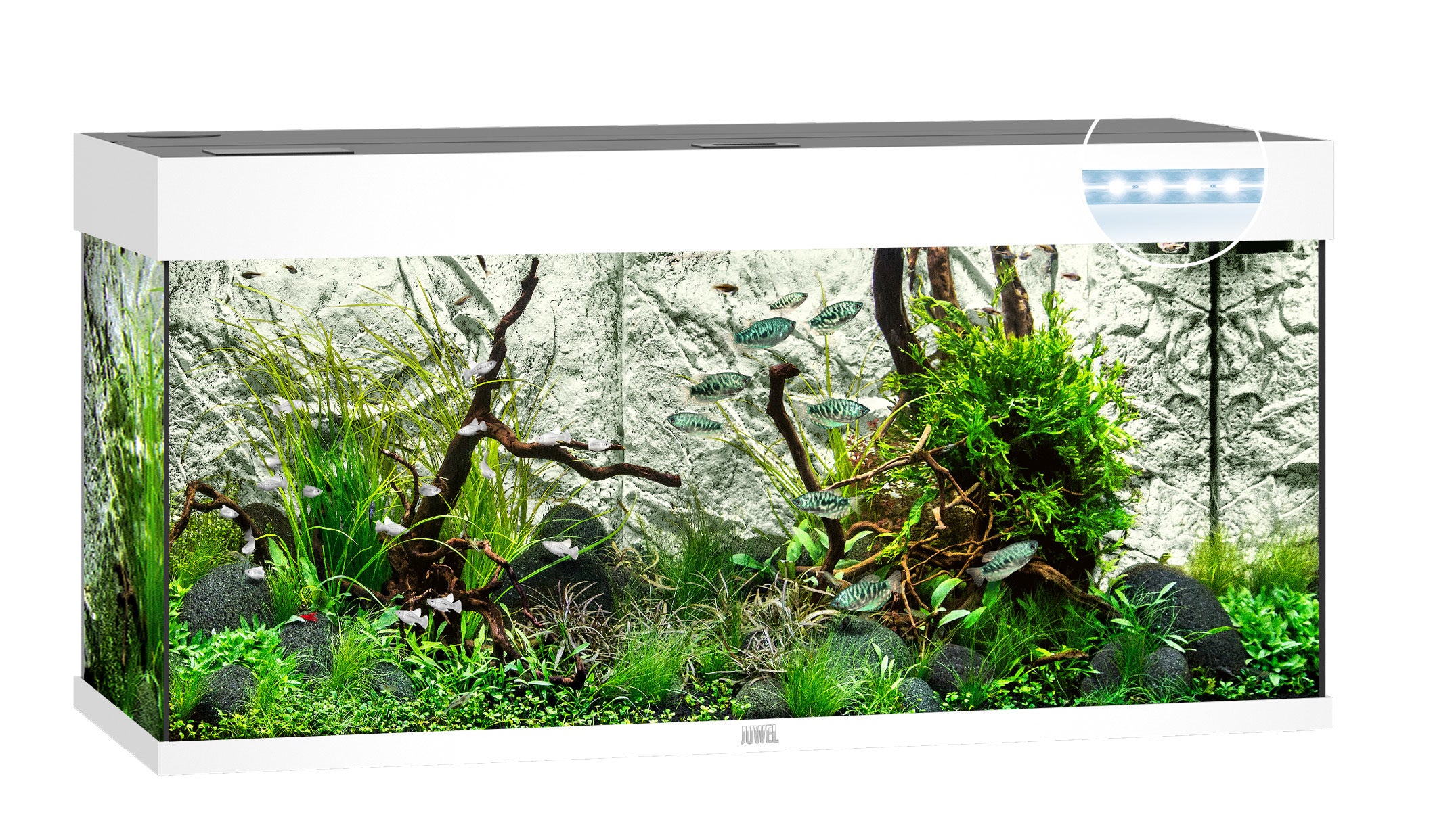 Juwel RIO LED Aquarium 180L