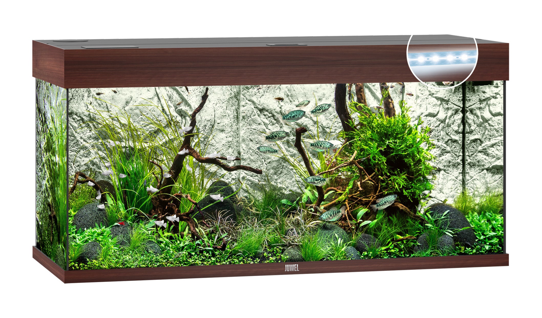 Juwel RIO LED Aquarium 180L