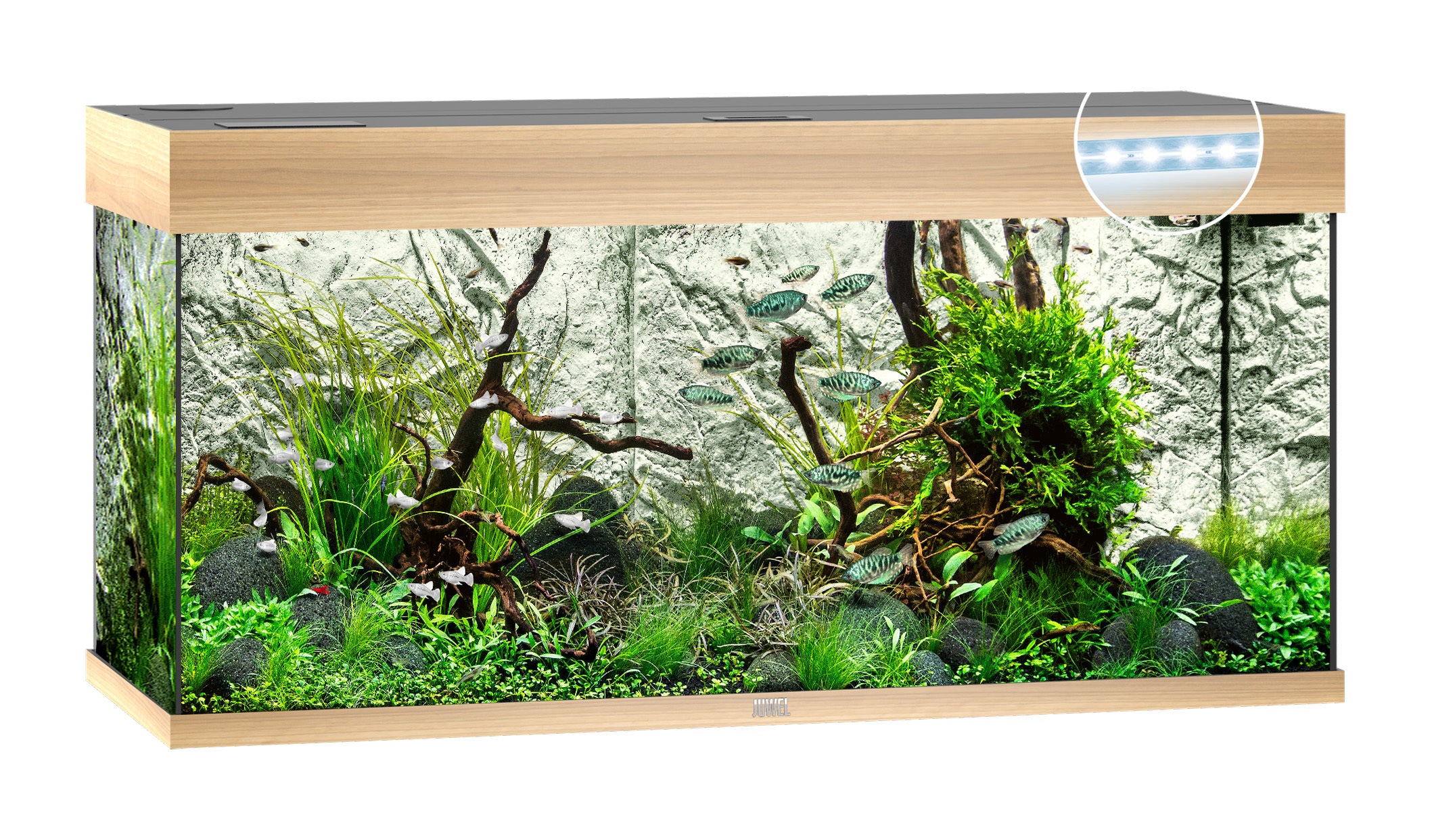 Juwel RIO LED Aquarium 180L