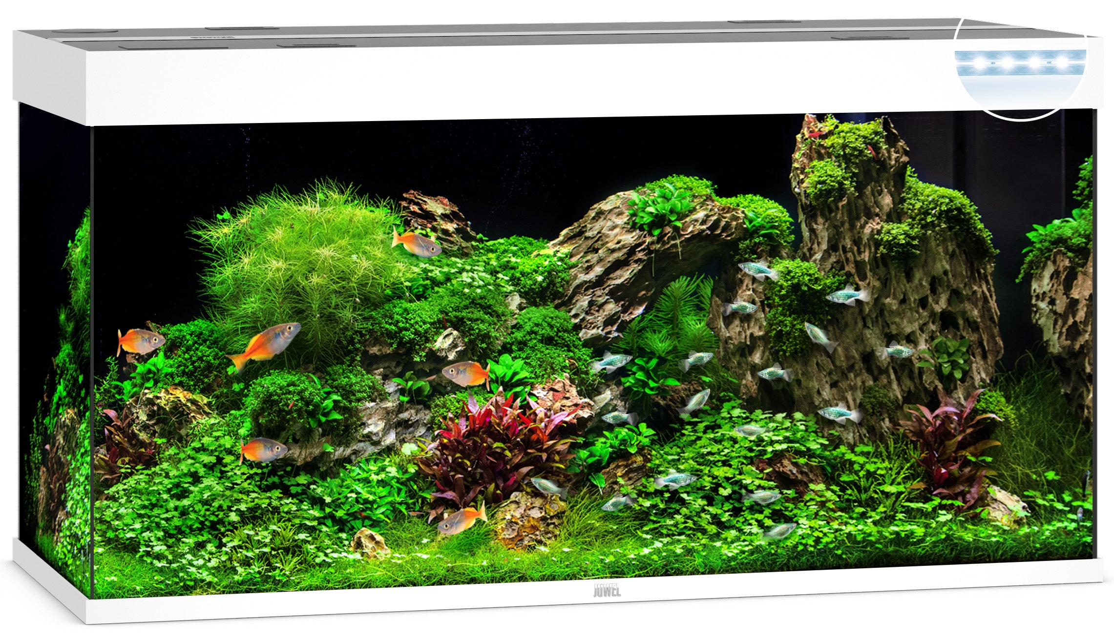Juwel RIO LED Aquarium 350L