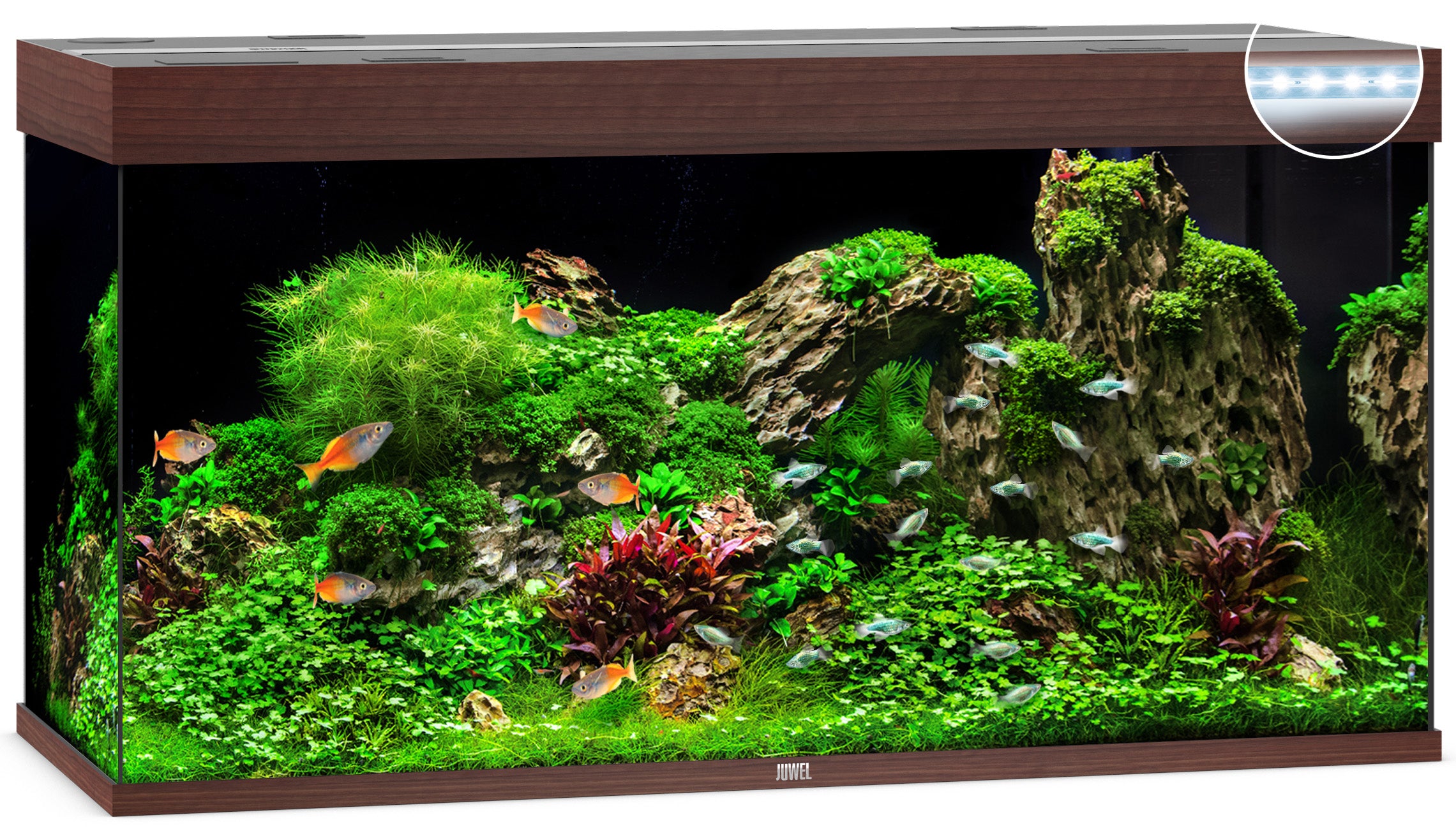 Juwel RIO LED Aquarium 350L