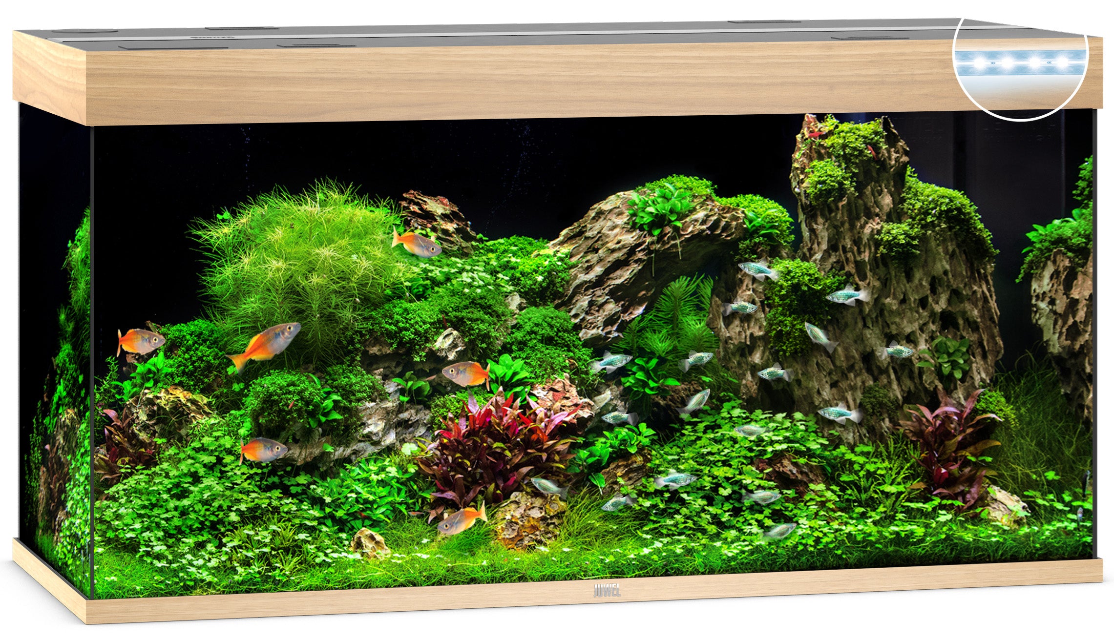 Juwel RIO LED Aquarium 350L