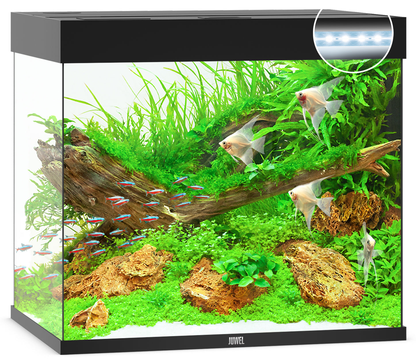 Juwel Lido LED Aquarium 200L