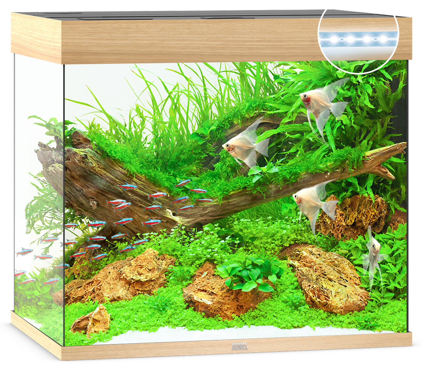 Juwel Lido LED Aquarium 200L