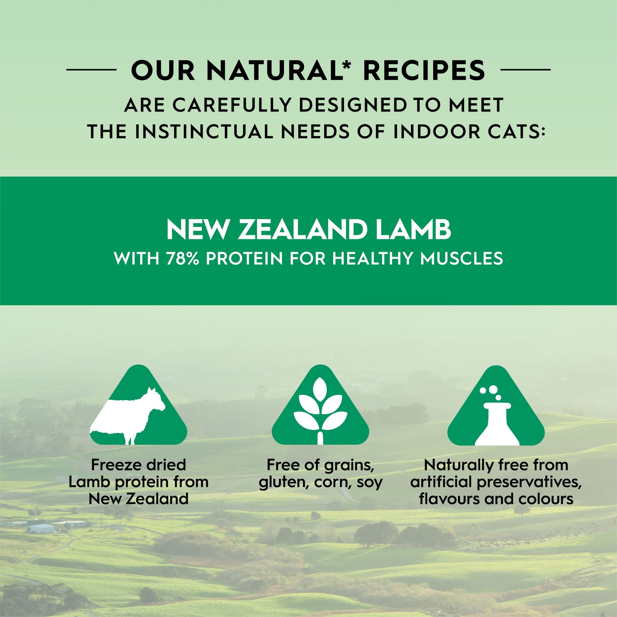 Trilogy Freeze Dried Cat Treats Lamb