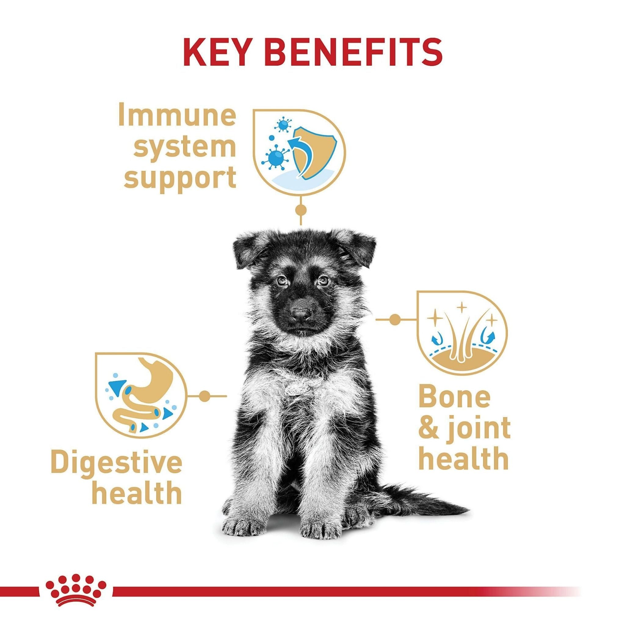 Royal Canin German Shepherd Puppy