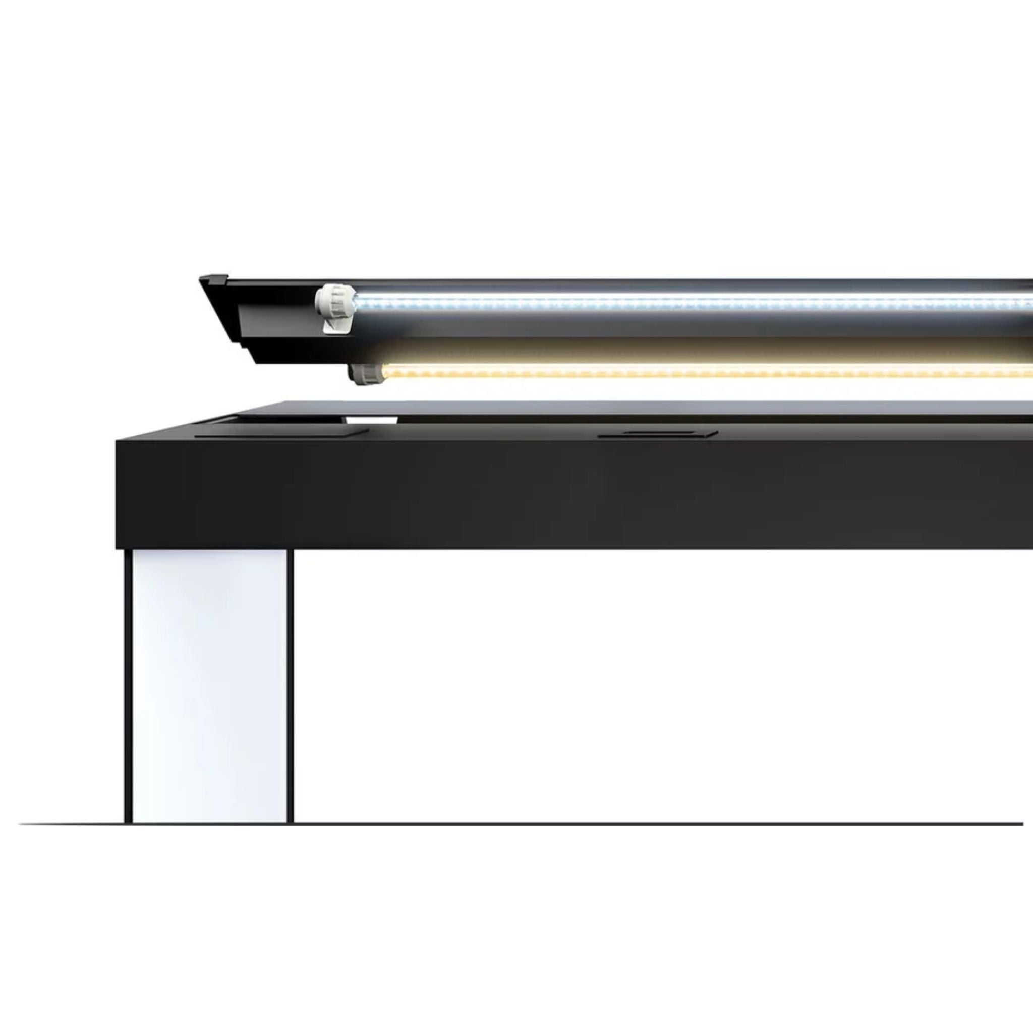 Juwel RIO LED Aquarium 240L