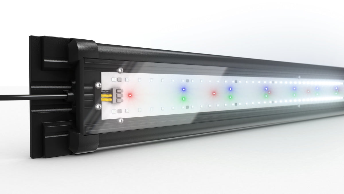 Juwel HeliaLux Spectrum LED 1200 lighting a large aquarium