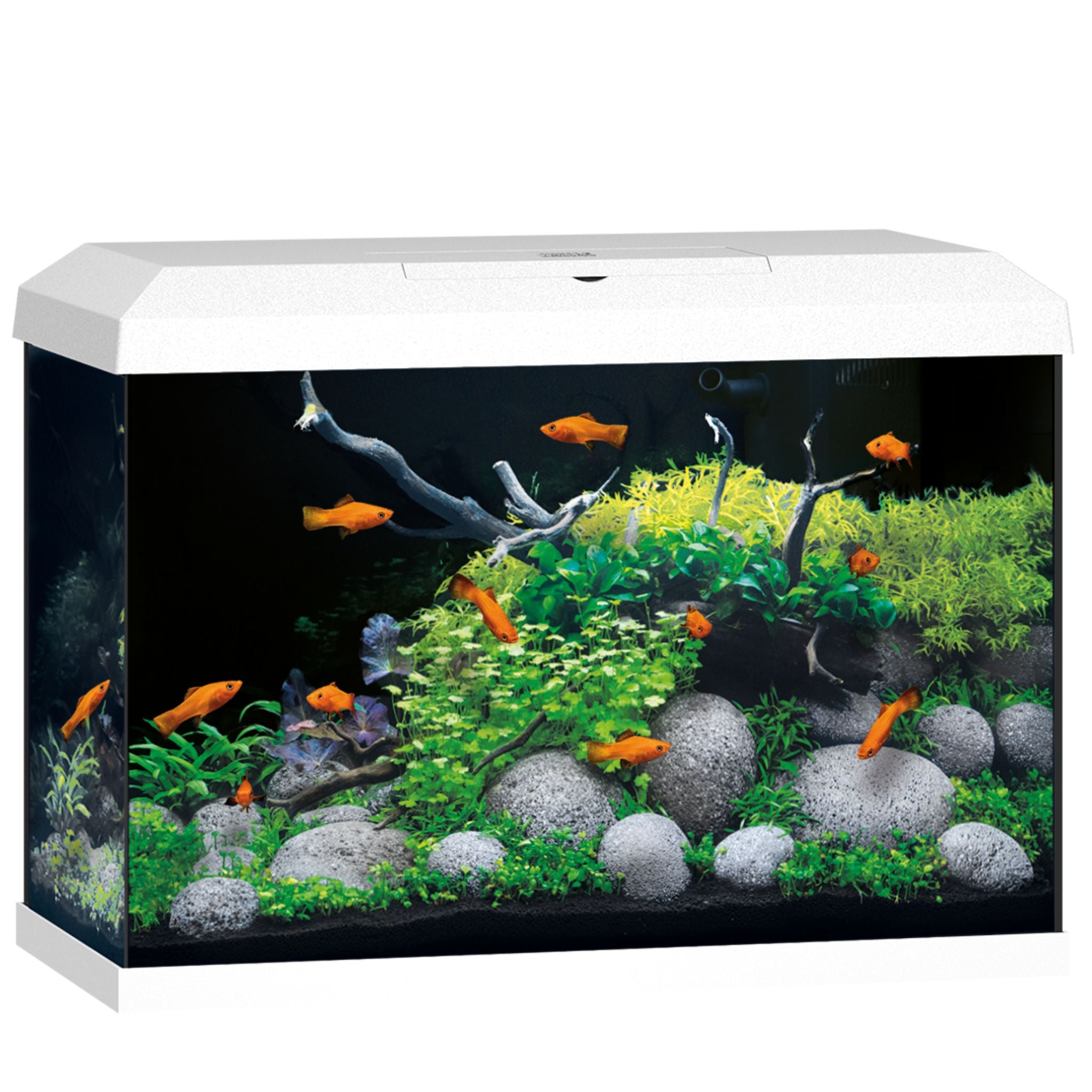 Juwel Primo LED Aquarium 70L