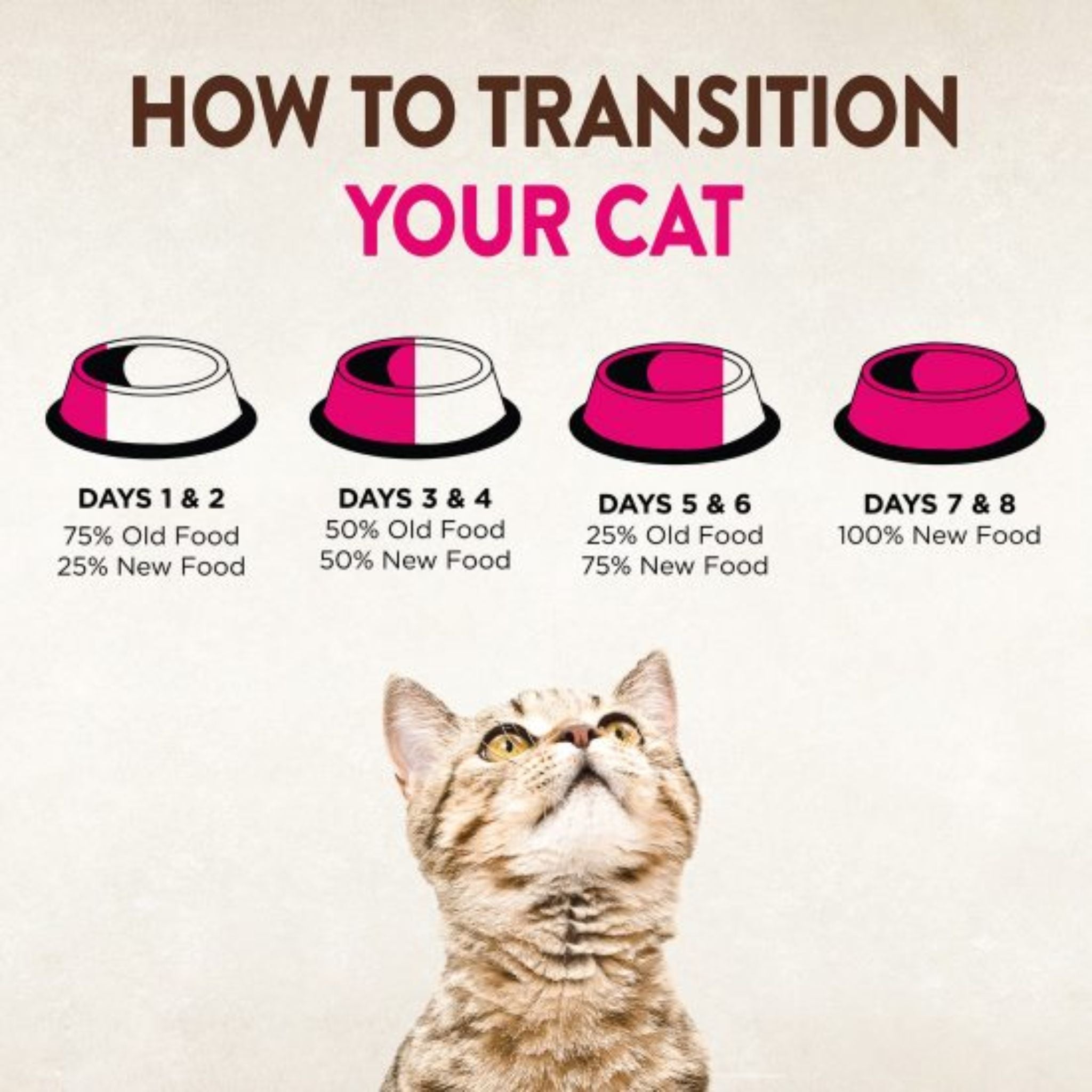 Wellness Core Dry Cat Food Grain Free Adult: Turkey & Duck