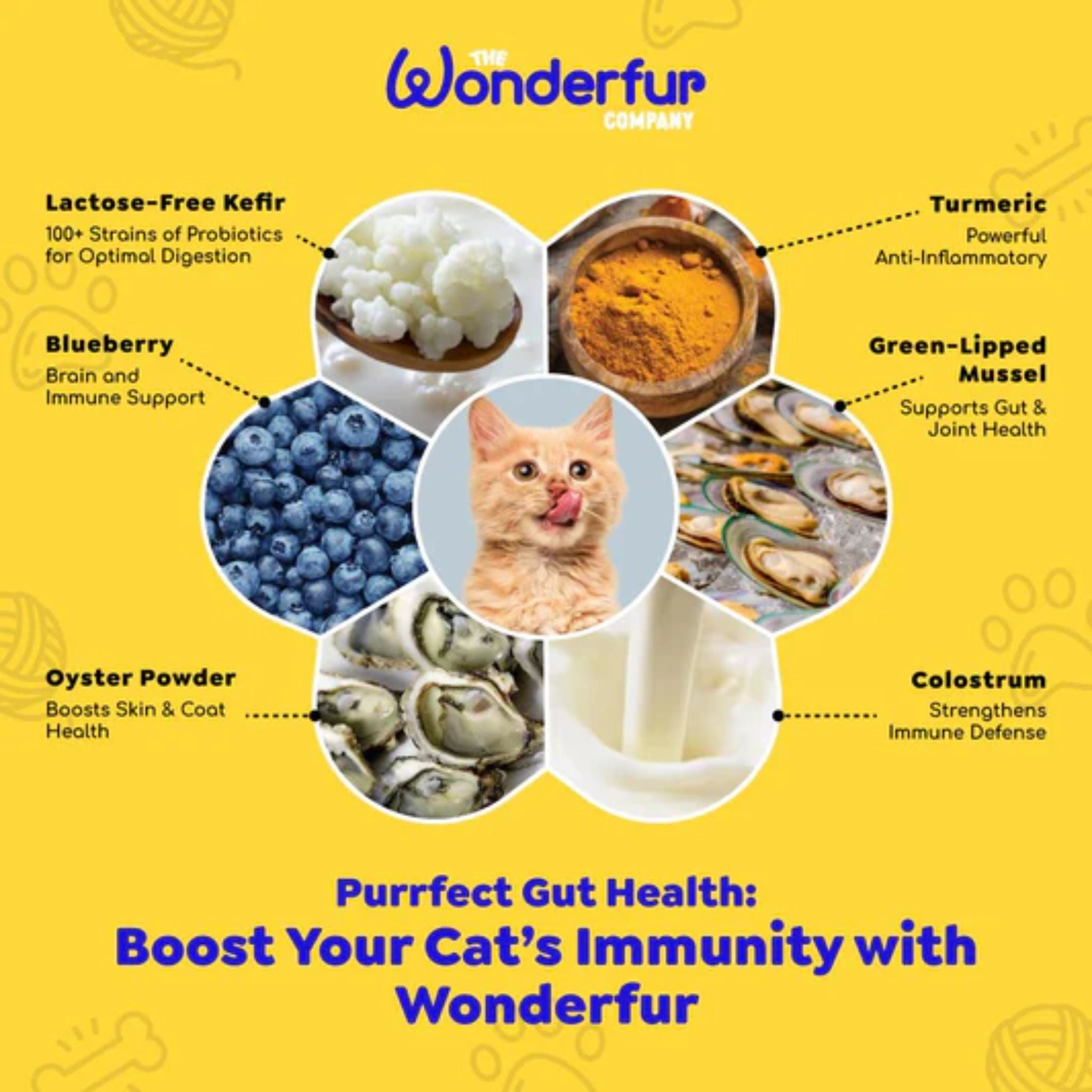 Wonderfur Bites Immune Booster for Cats