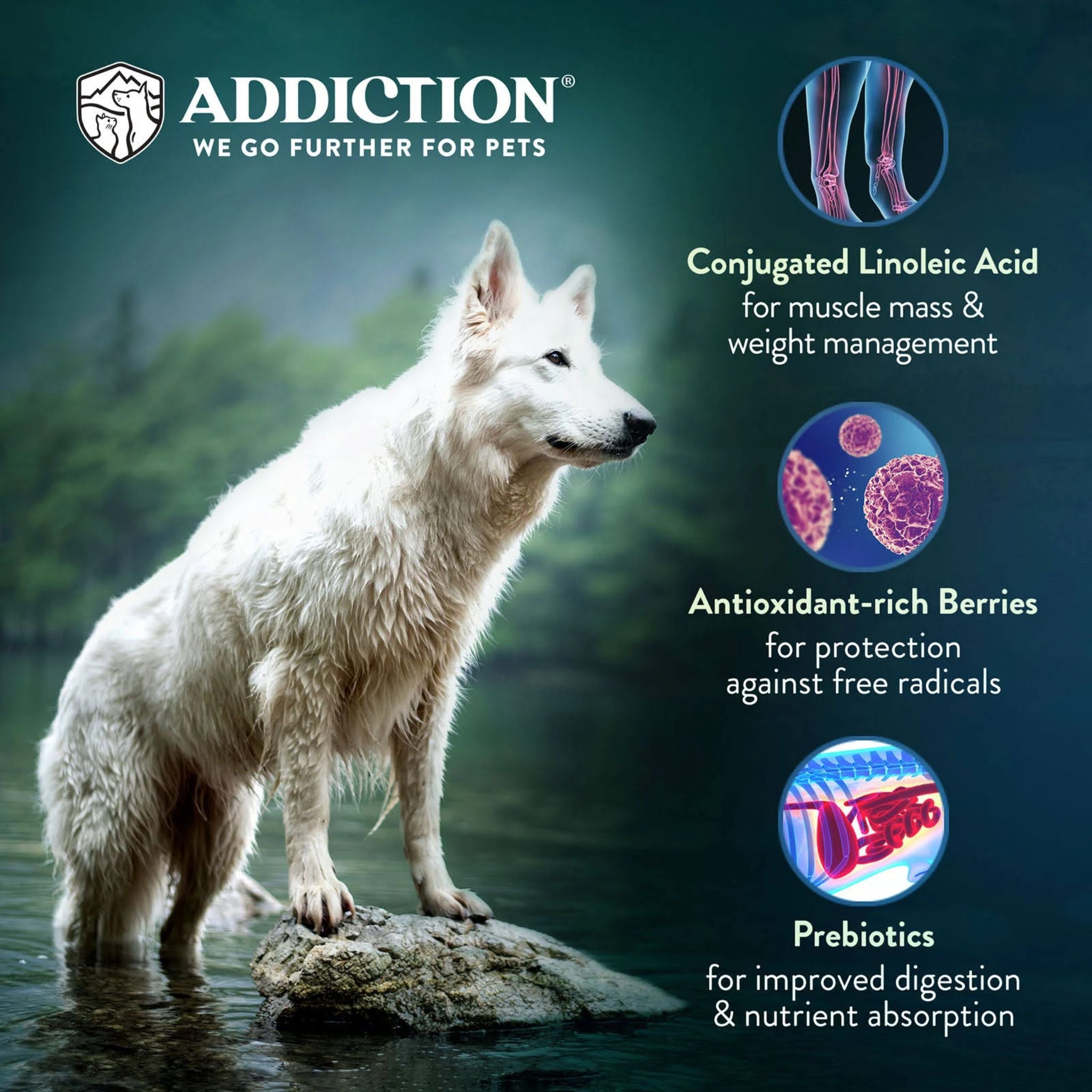 ADDICTION Homestyle Venison & Cranberry Dinner Raw Alternative Dog Food