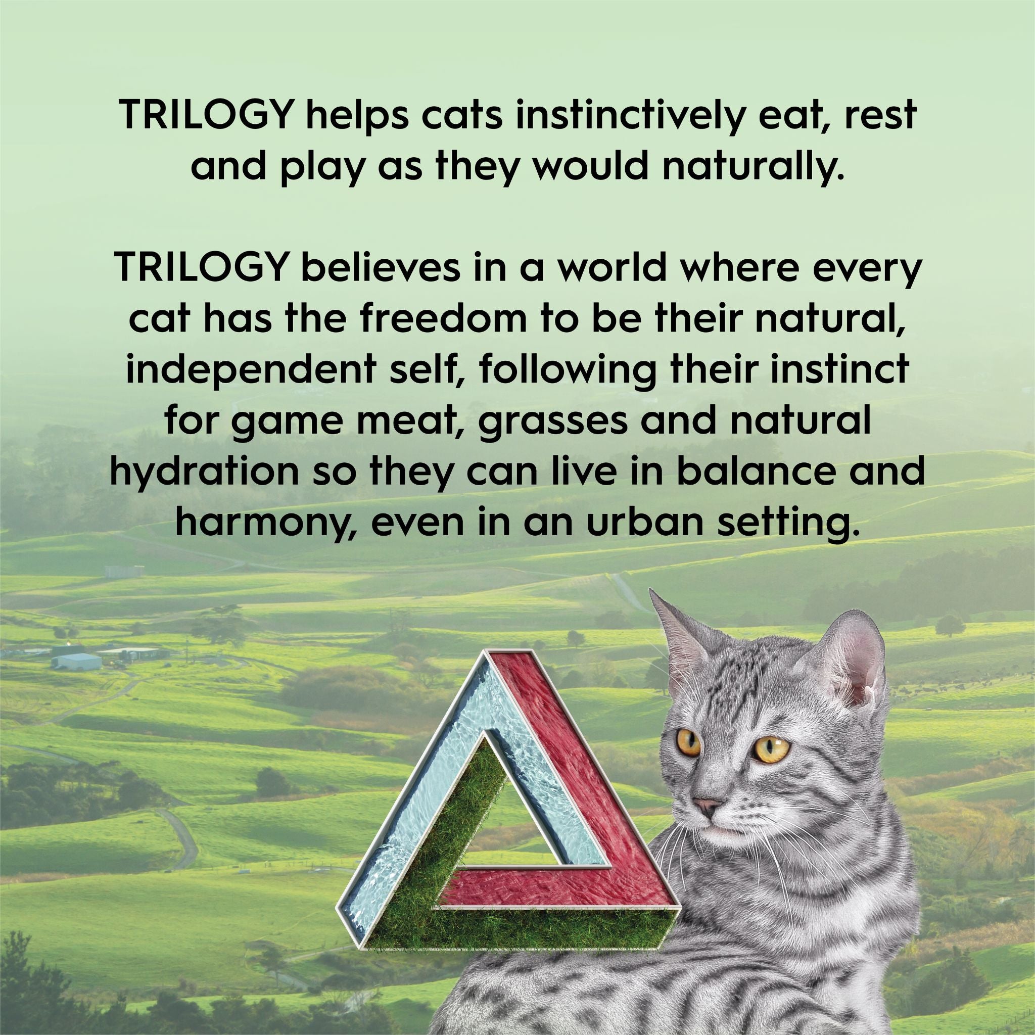 Trilogy Freeze Dried Cat Treats Lamb