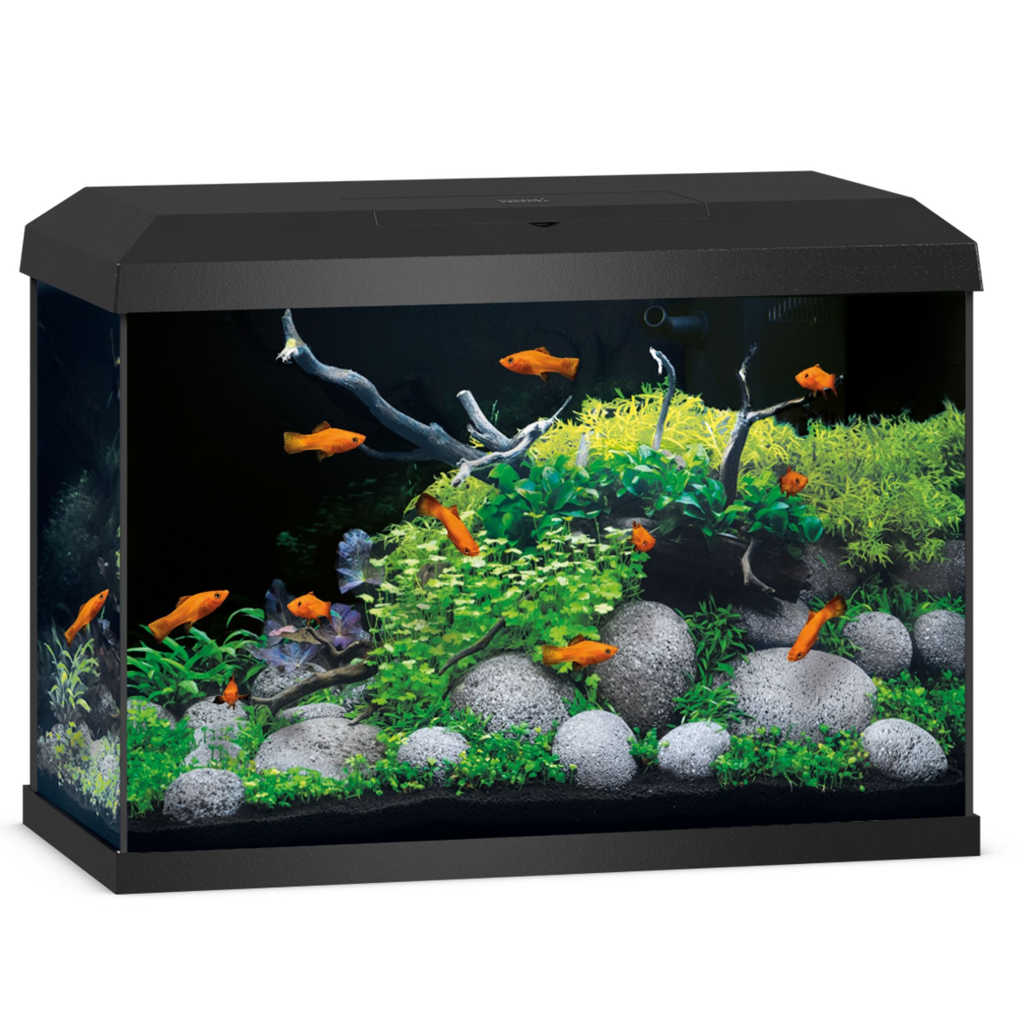 Juwel Primo LED Aquarium 57L