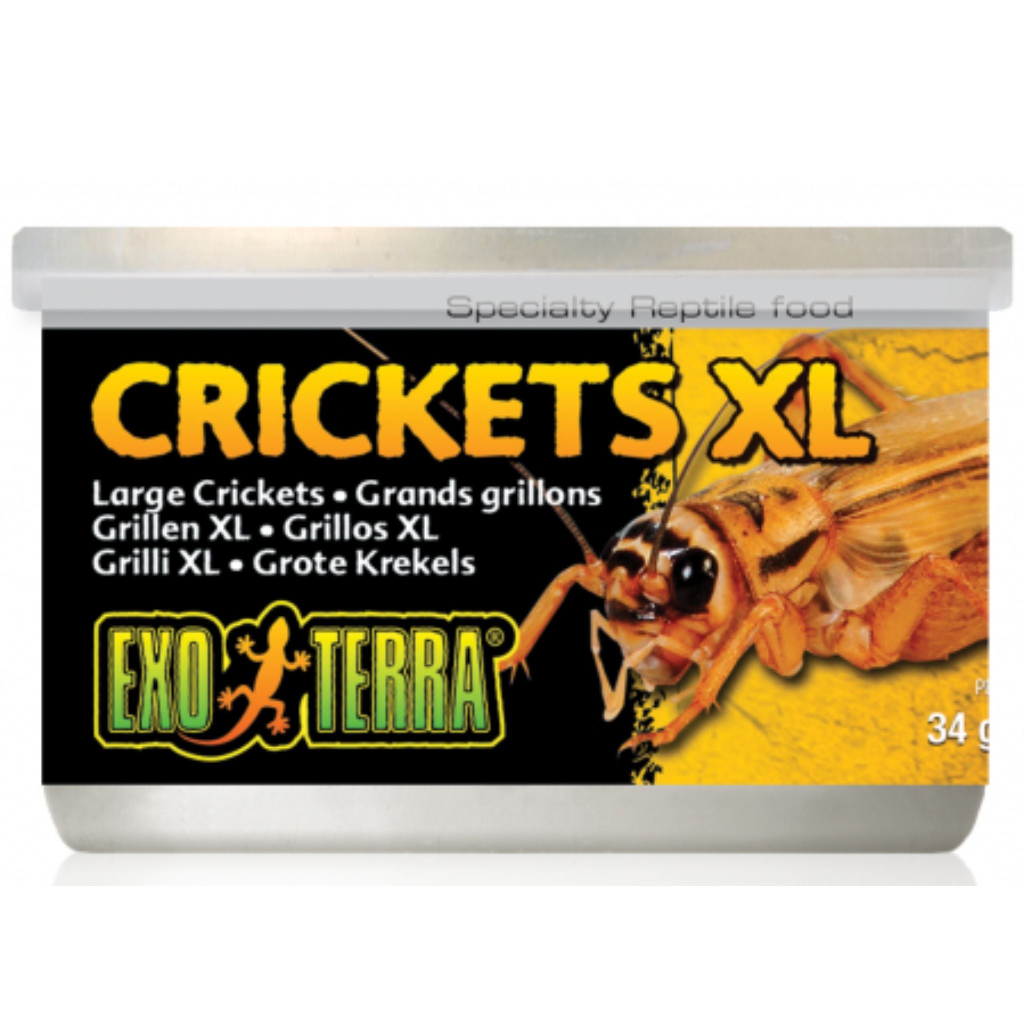 Exo Terra Crickets Reptile Treats