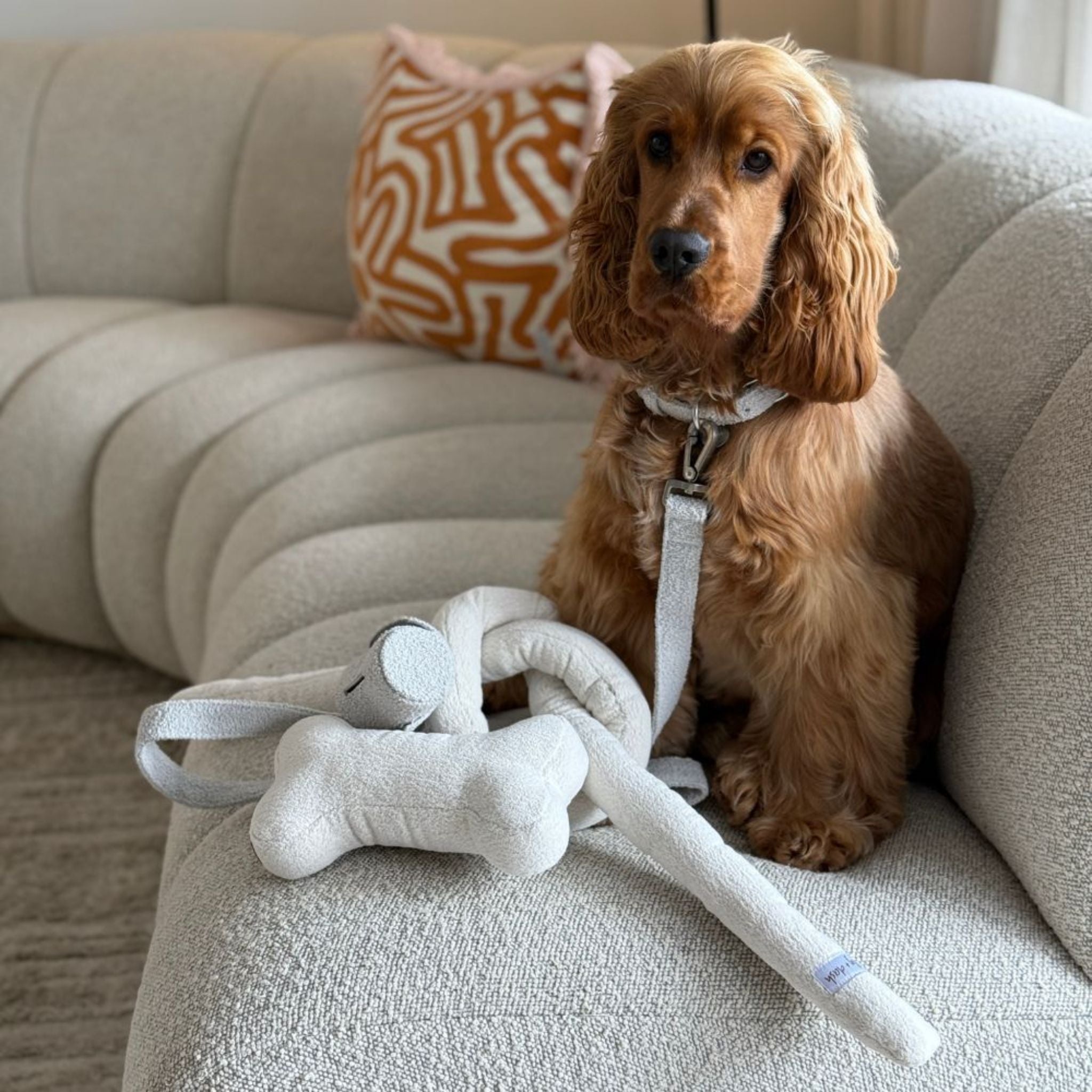 Lilly and Dash Knot Dog Toy