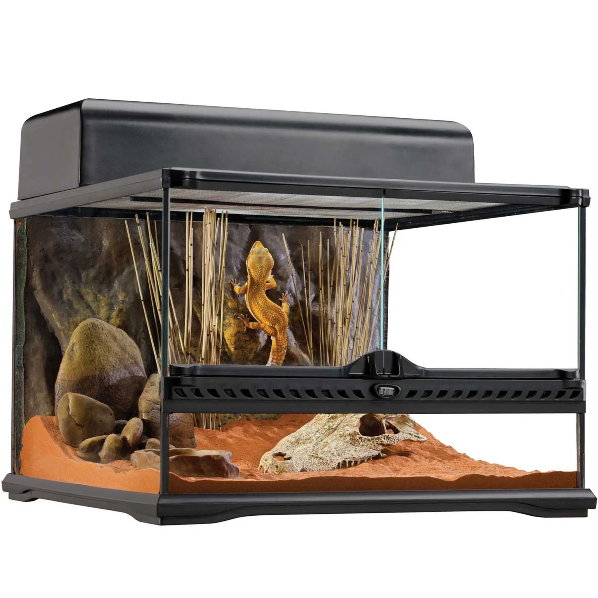 Exo Terra Natural Terrariums