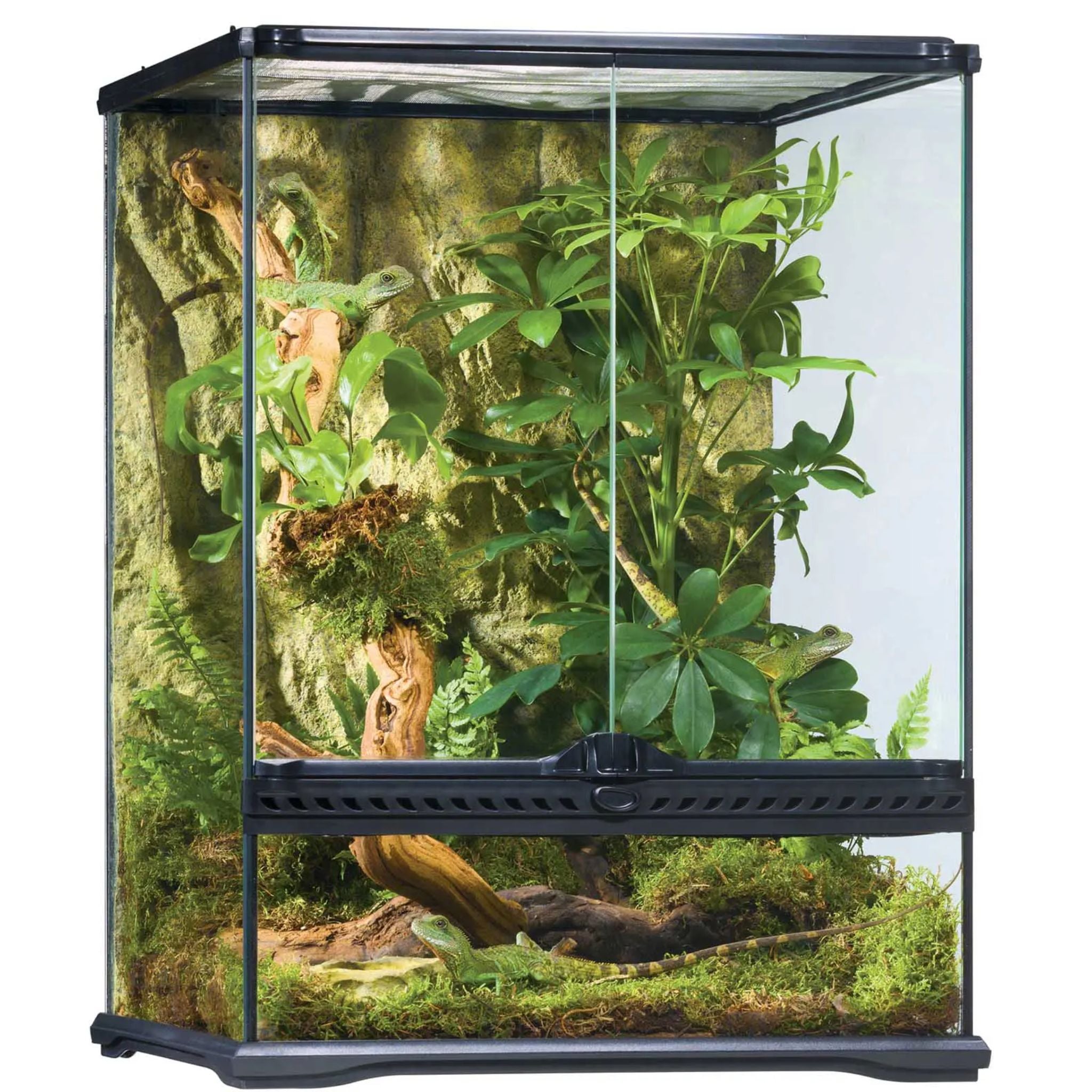 Exo Terra Natural Terrariums