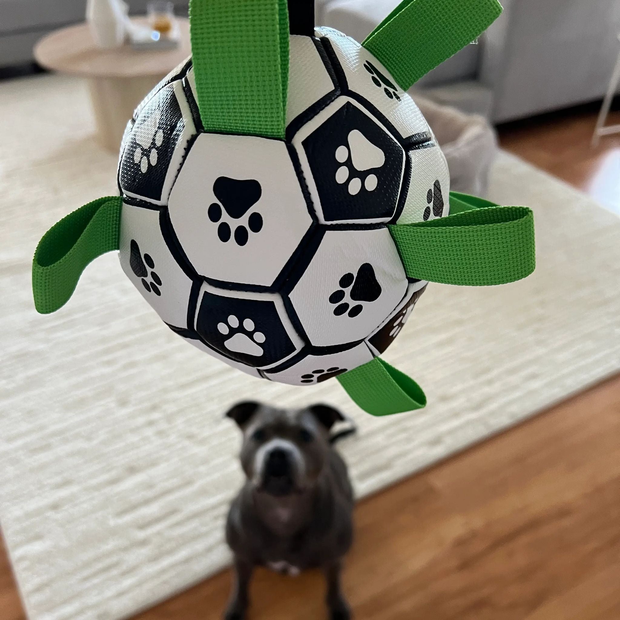Happy Staffy Co Ronaldog Soccer Ball Dog Toy