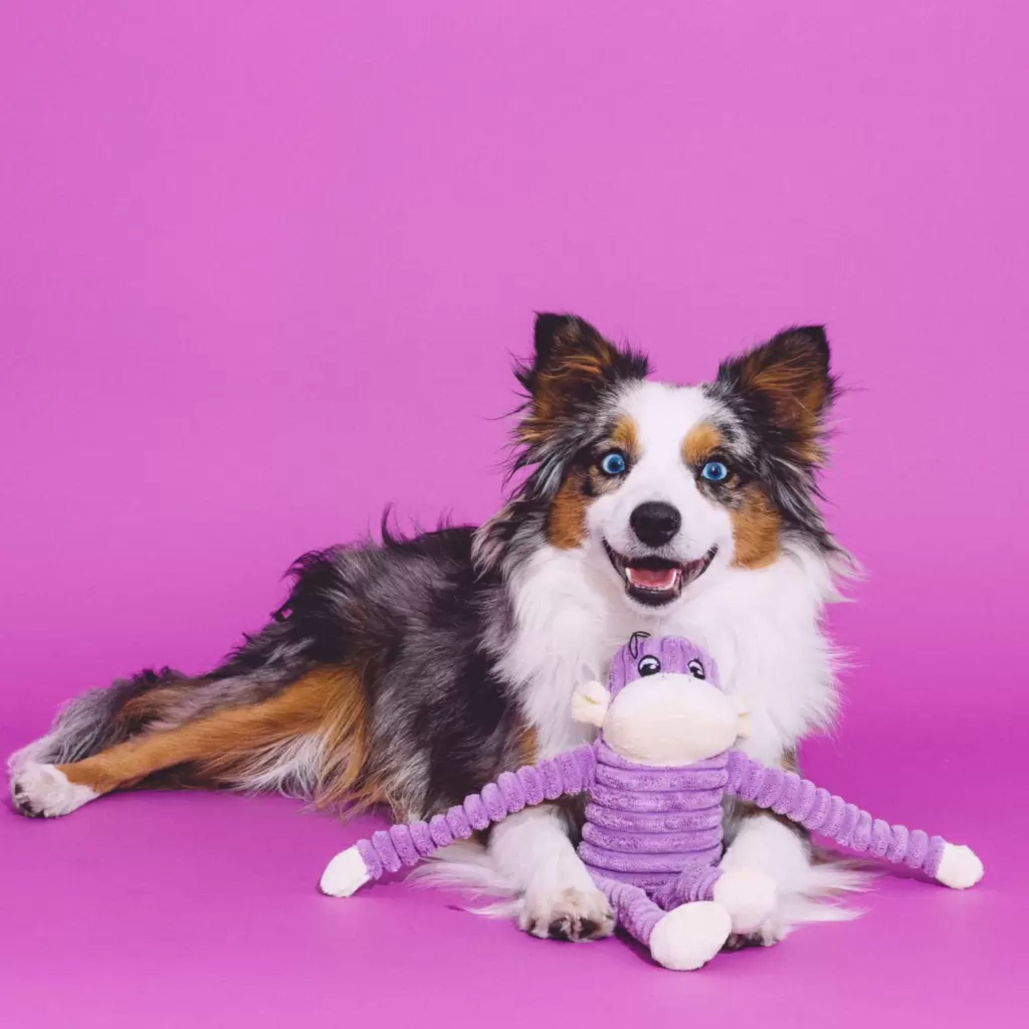 Zippy Paws Spencer The Crinkle Monkey Dog Toy