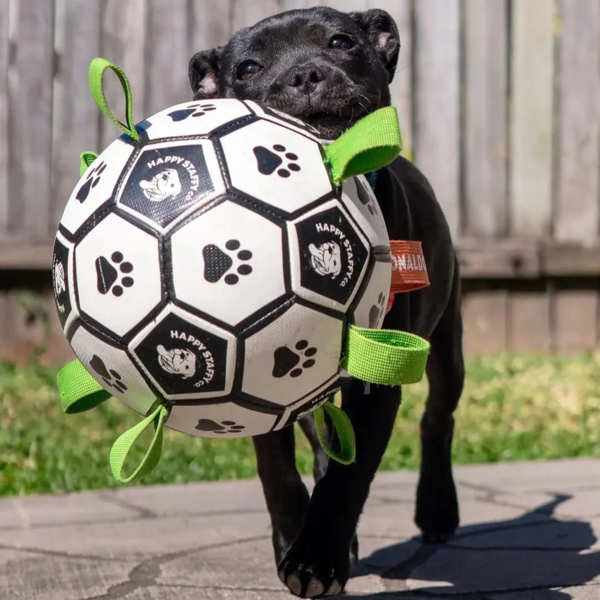 Happy Staffy Co Ronaldog Soccer Ball Dog Toy