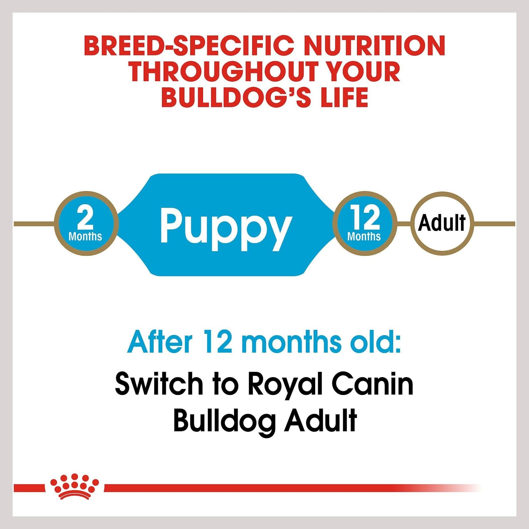 Royal Canin Bulldog Puppy