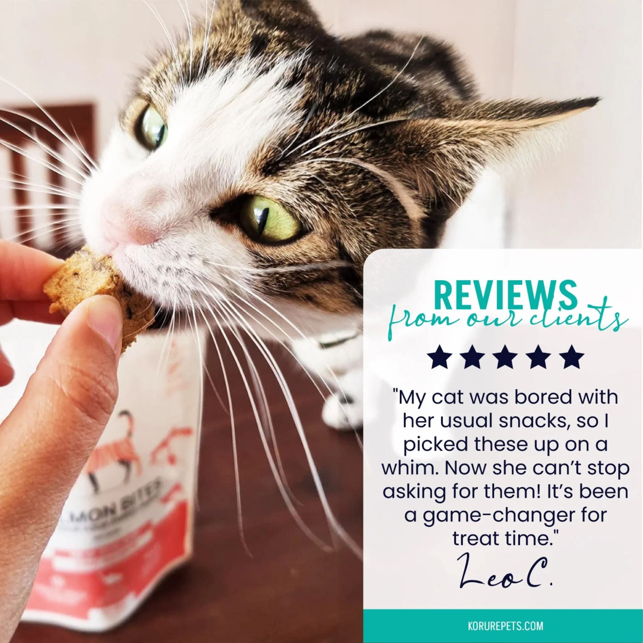 Korure Pets King Salmon Bites Cat Treats