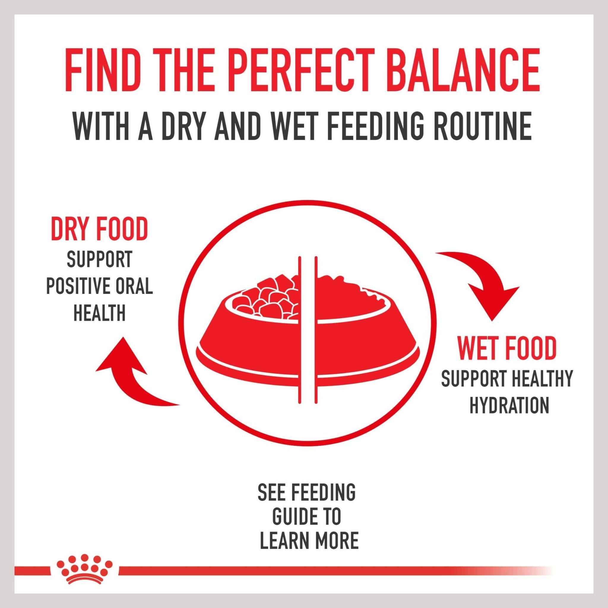 Royal Canin Chihuahua Adult Dry Dog Food