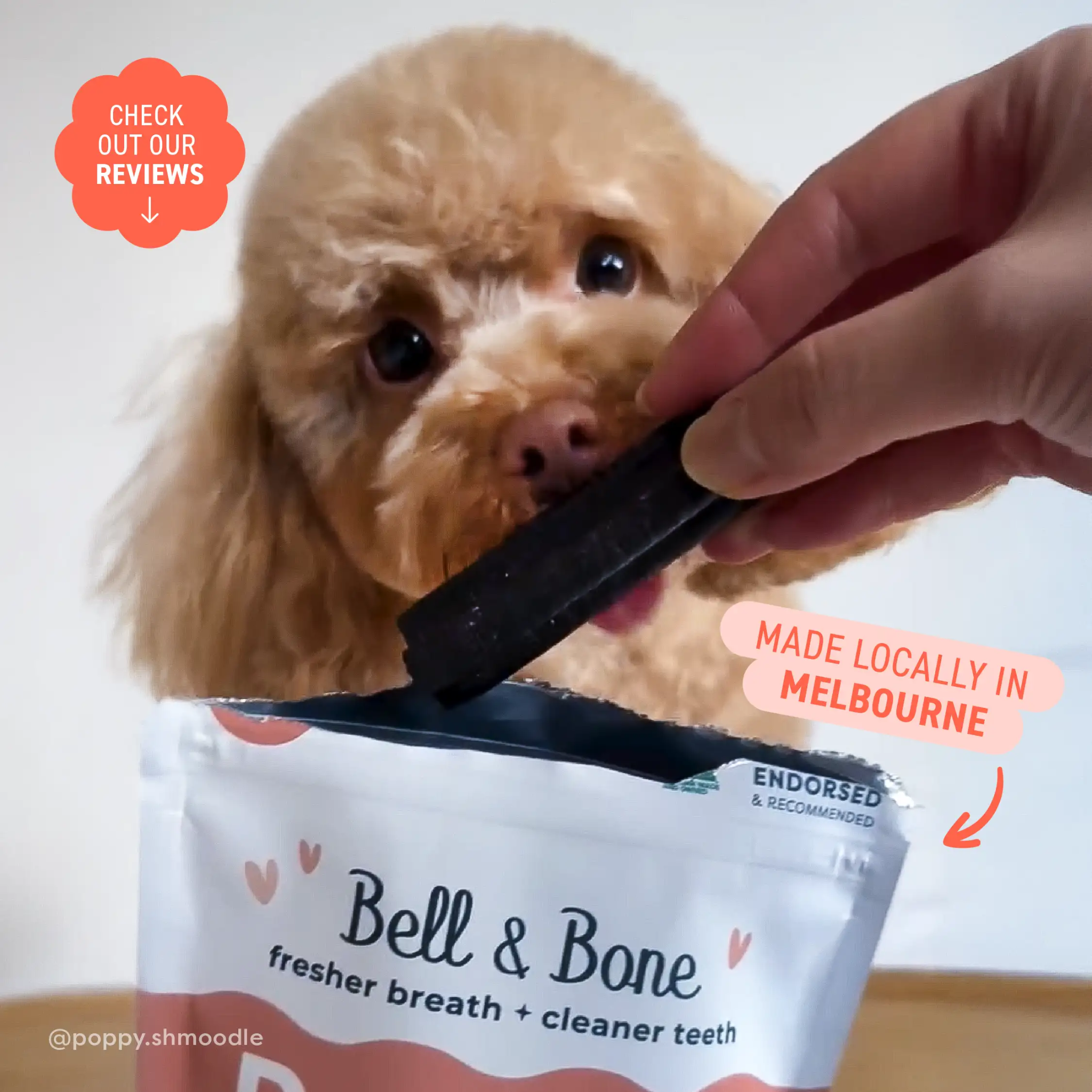 Bell and Bone Dental Sticks for Adult Dogs - Salmon, Mint & Charcoal