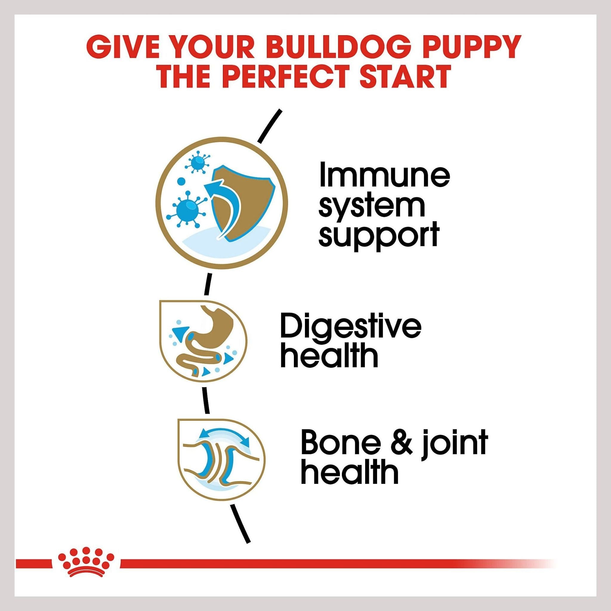 Royal Canin Cavalier King Charles