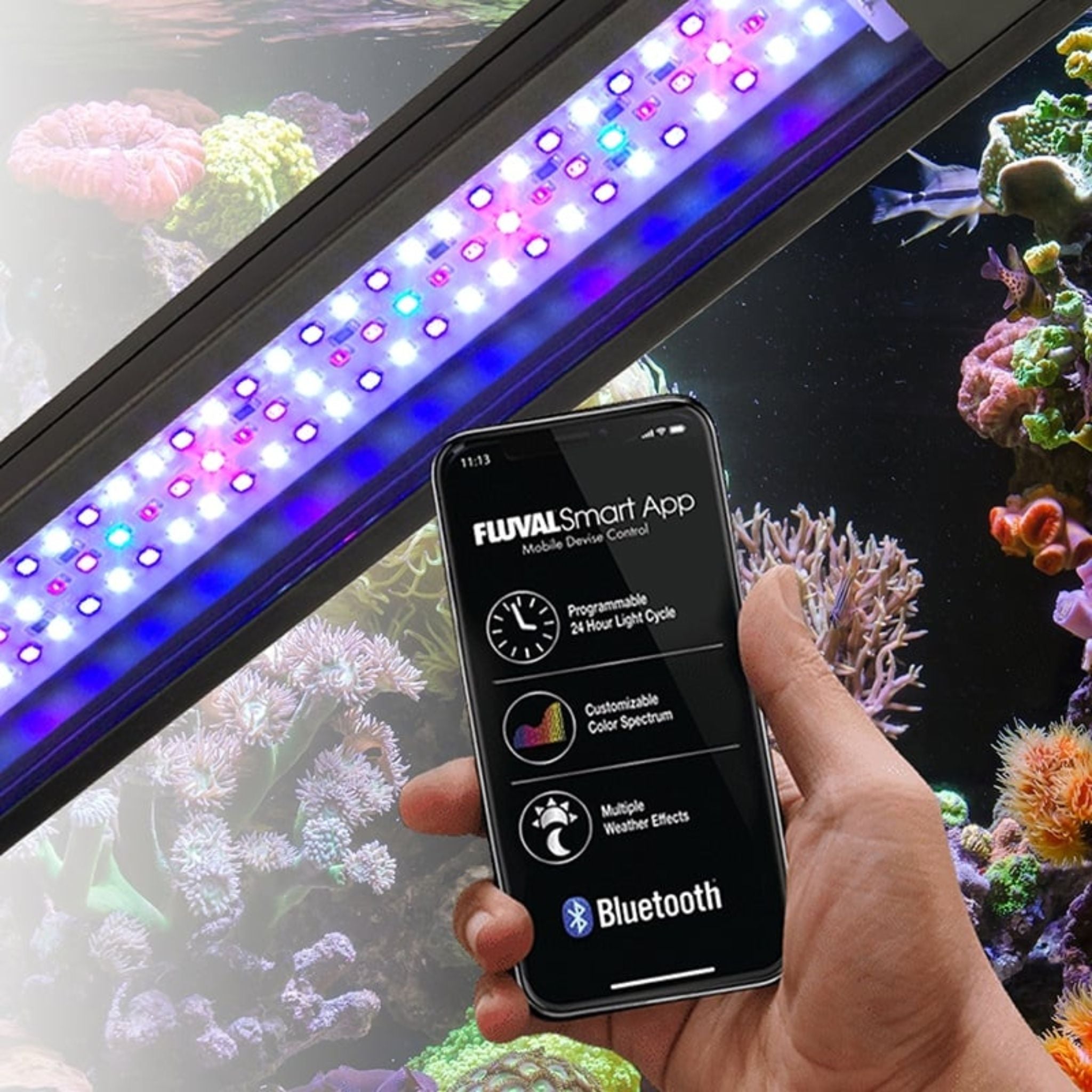 Fluval Flex Saltwater Aquarium Kit