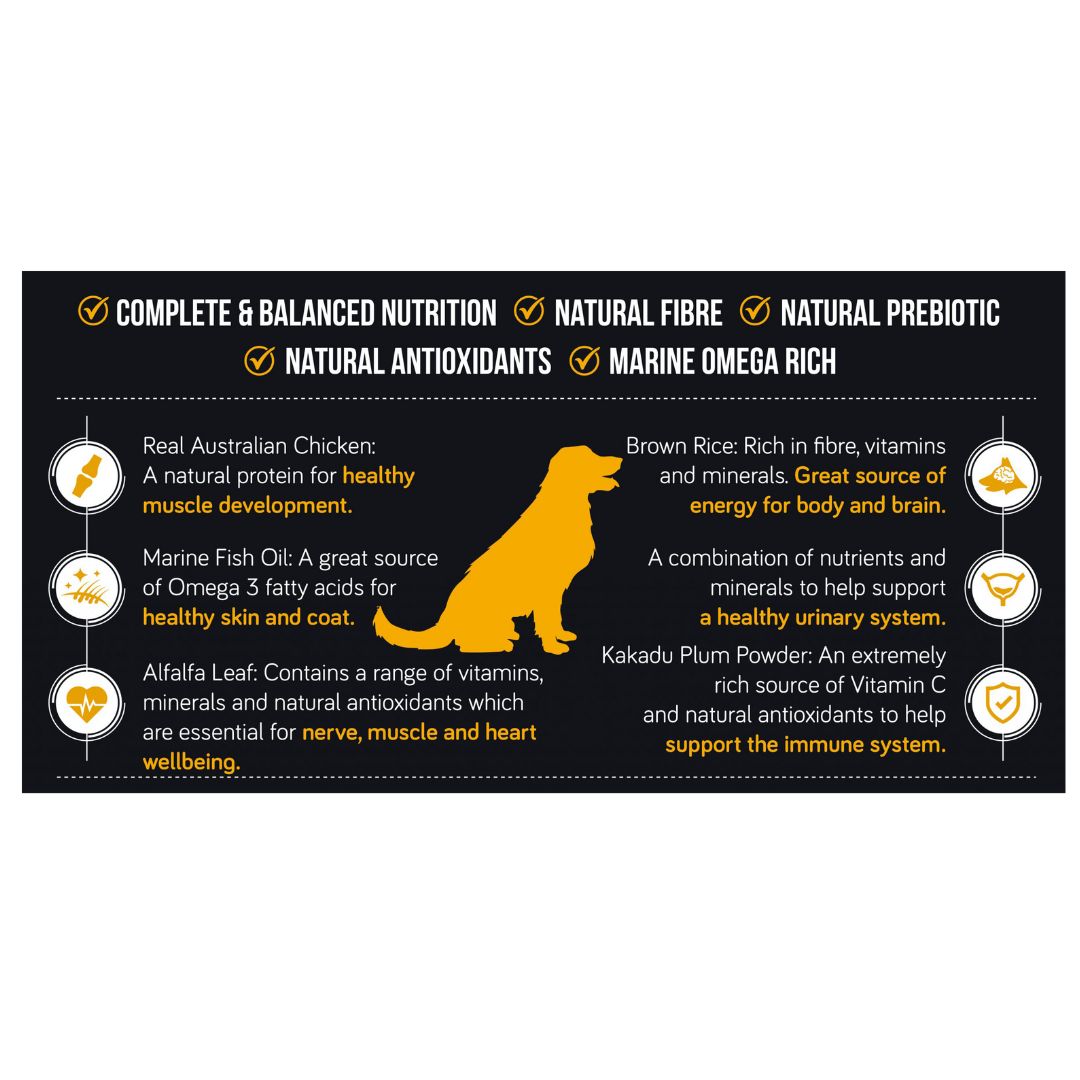 Talentail Dry Adult Dog Food Chicken with Brown Rice