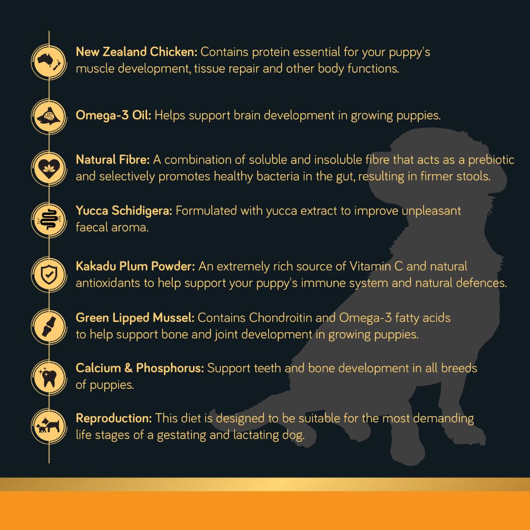 Talentail Ultimate Premium Dry Puppy Food New Zealand Chicken