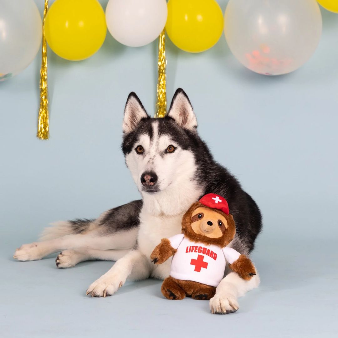 Fringe Studio Plush Squeaker Dog Toy - Into The Swim Of Things Sloth | PeekAPaw Pet Supplies