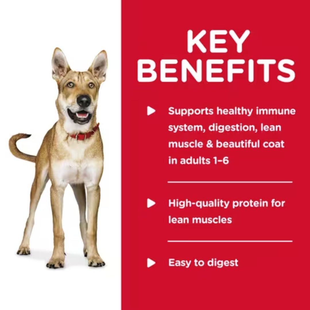 Hill's Science Diet Canned Dog Food Adult with Turkey | PeekAPaw Pet Supplies