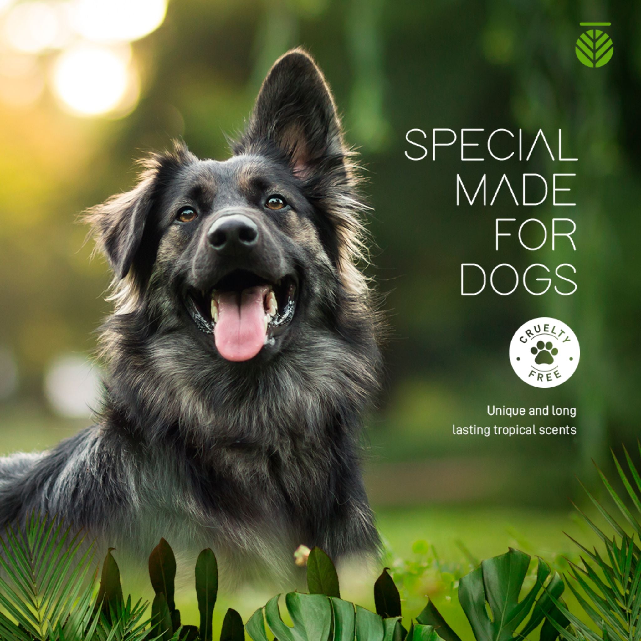 Amazonia Brazilian Carnauba Wax Balm For Paws And Nose For Dogs 30g | PeekAPaw Pet Supplies