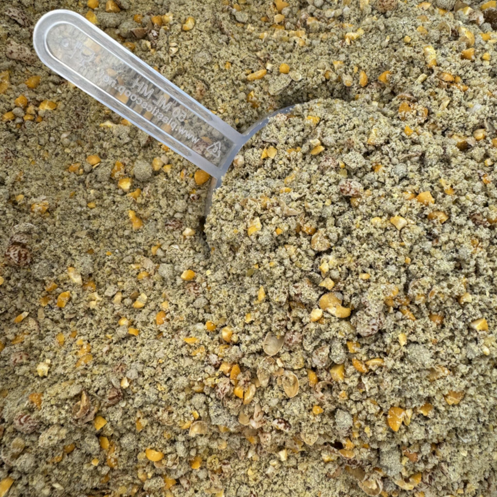 Black Horse Naturals Gut Align