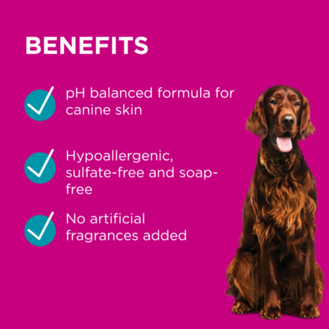 PAW by Blackmores Sensitive Skin Conditioner for Dogs